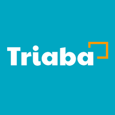 Triaba Panel logo